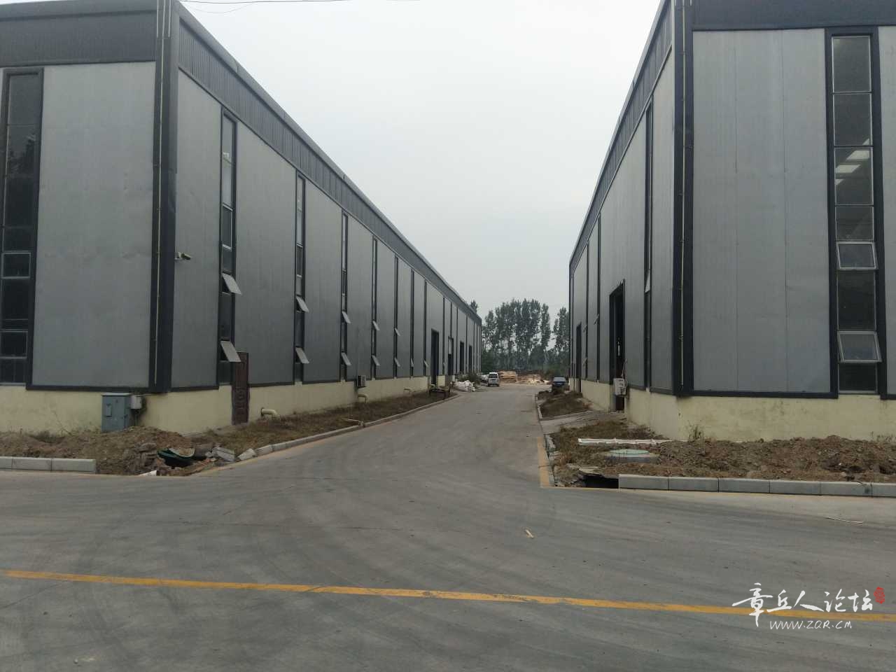 mmexport1604831825998.jpg