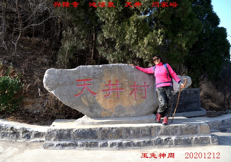 照片 459.jpg