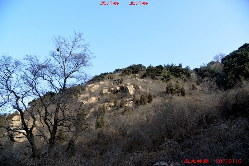 照片 086.jpg