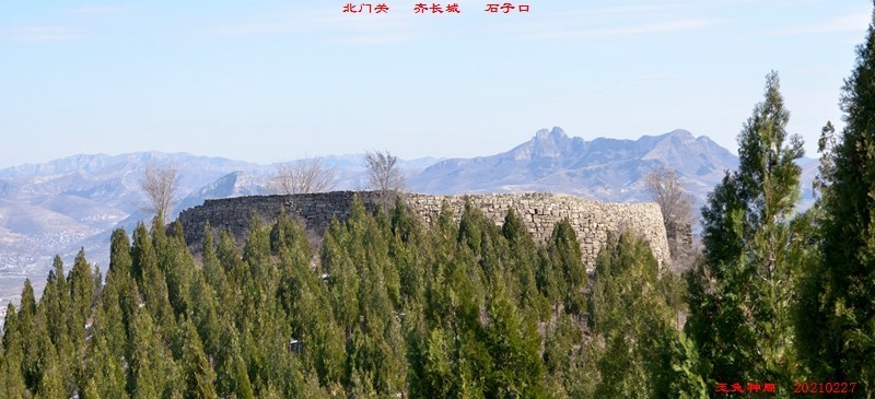 照片 549.jpg