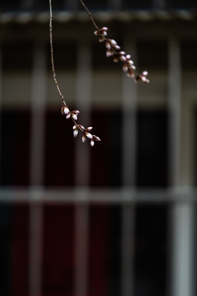 未命名-7.jpg