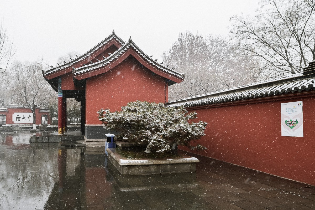 啄木鸟-1-2.jpg