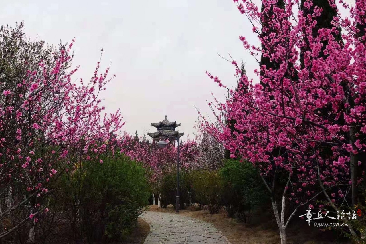 微信图片_20210326143055.jpg