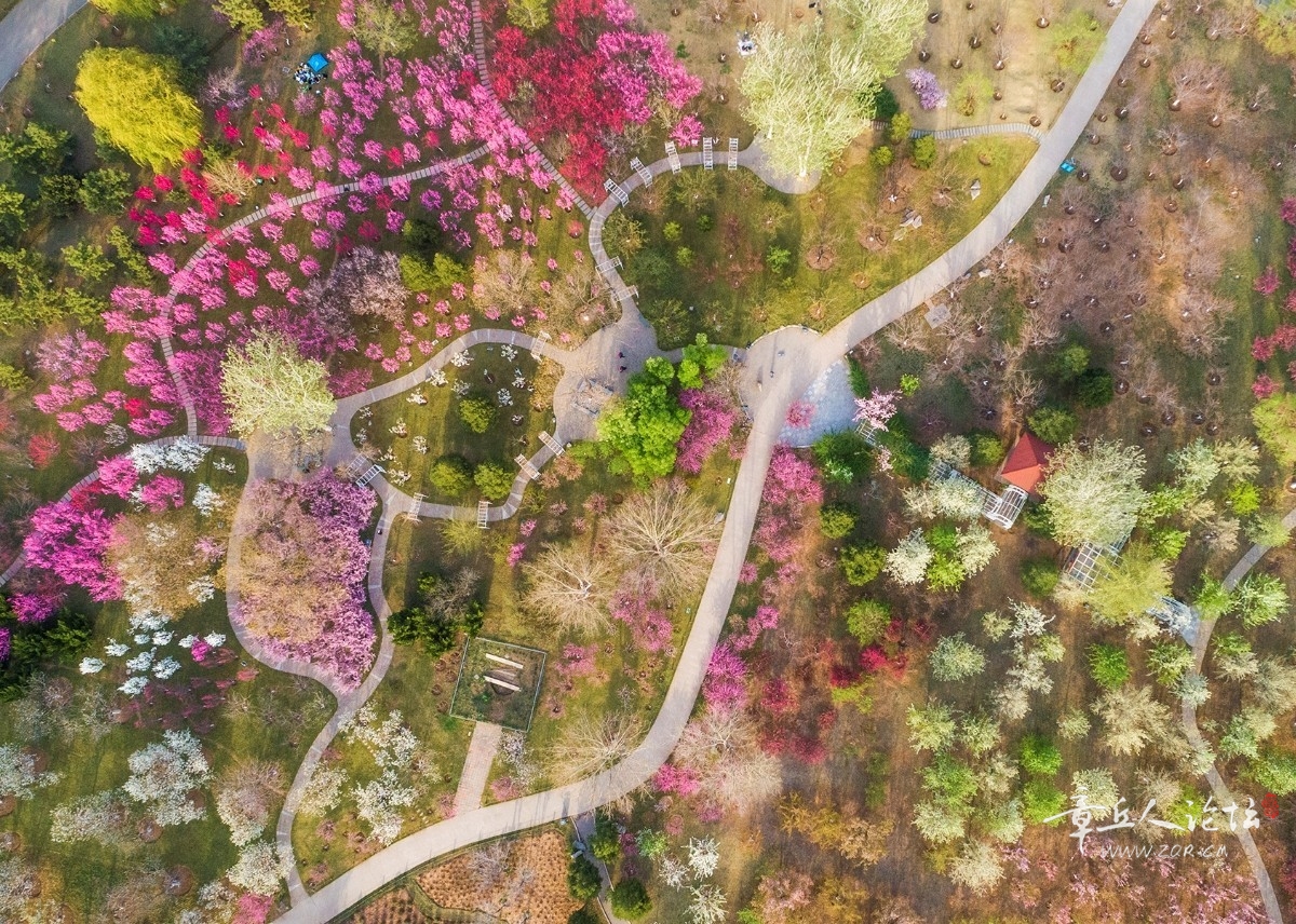 DJI_0009 拷贝.jpg