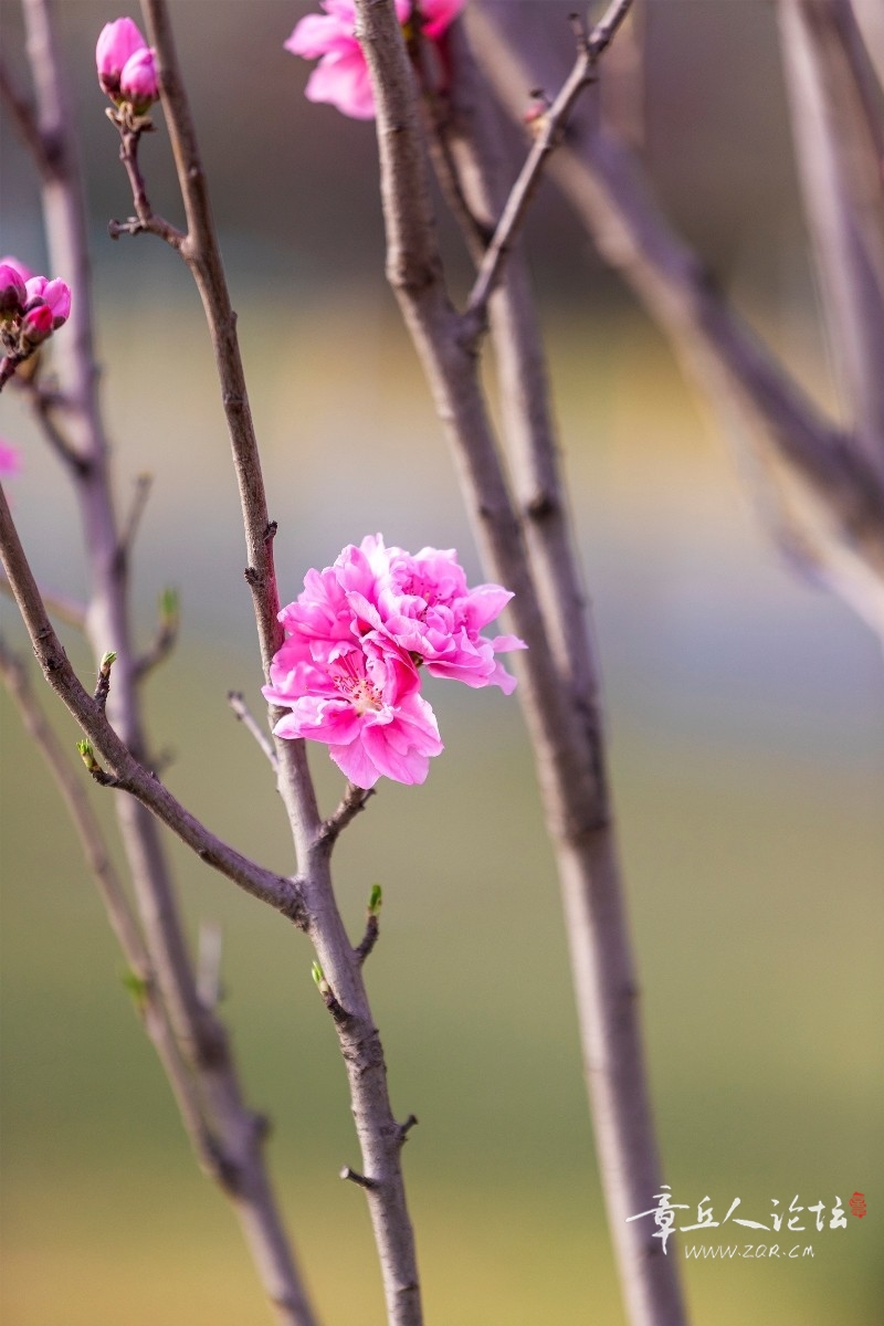 IMG_7051 拷贝1.jpg