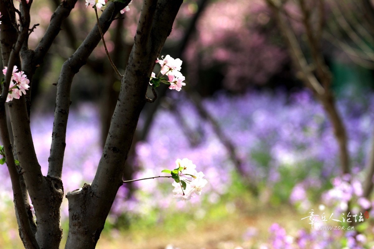 IMG_5097_副本.jpg