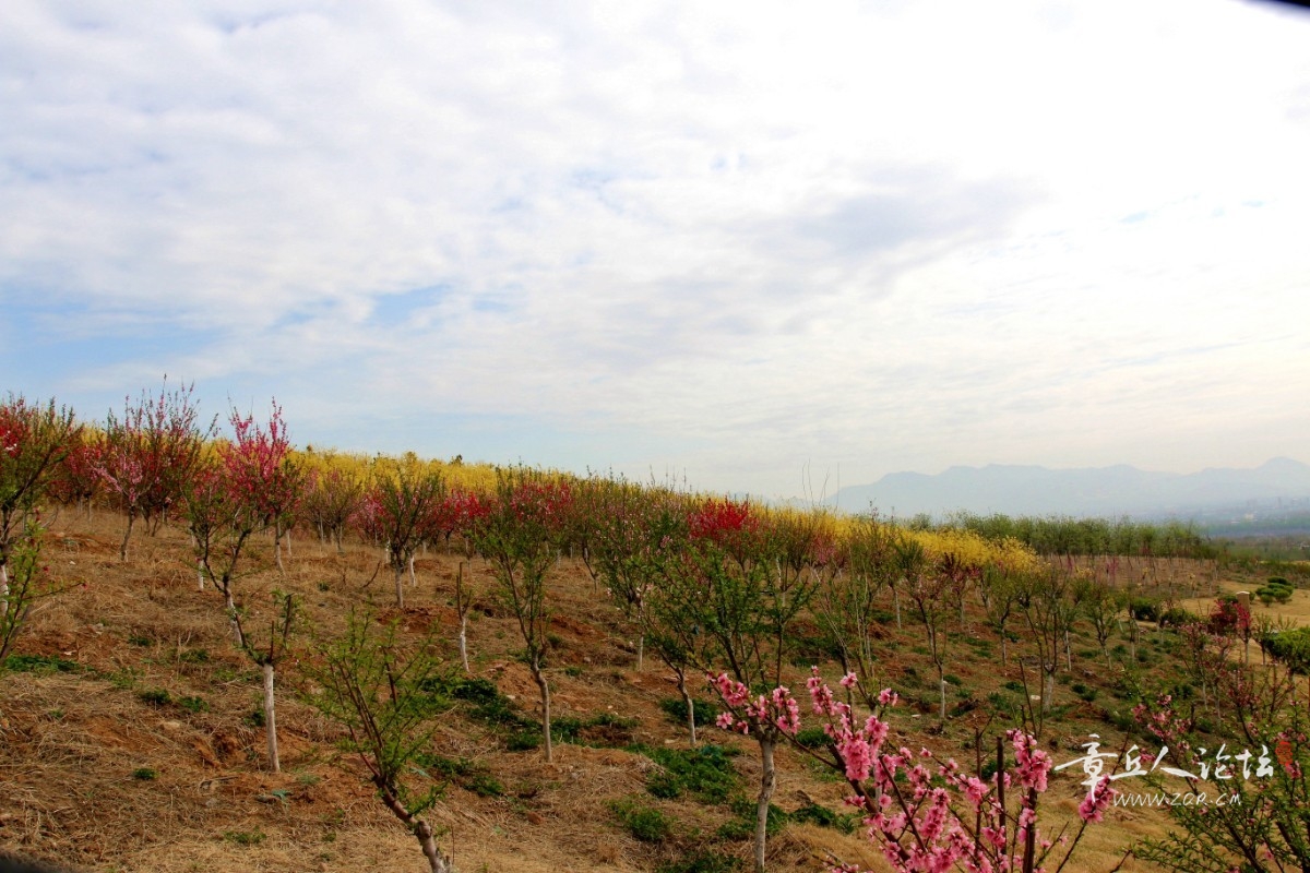 IMG_5268_副本.jpg