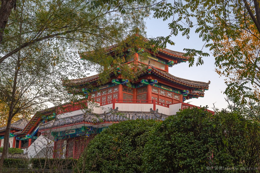 未命名-1-5.jpg