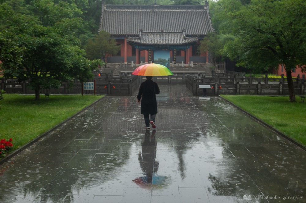 雨中百脉泉-8.jpg