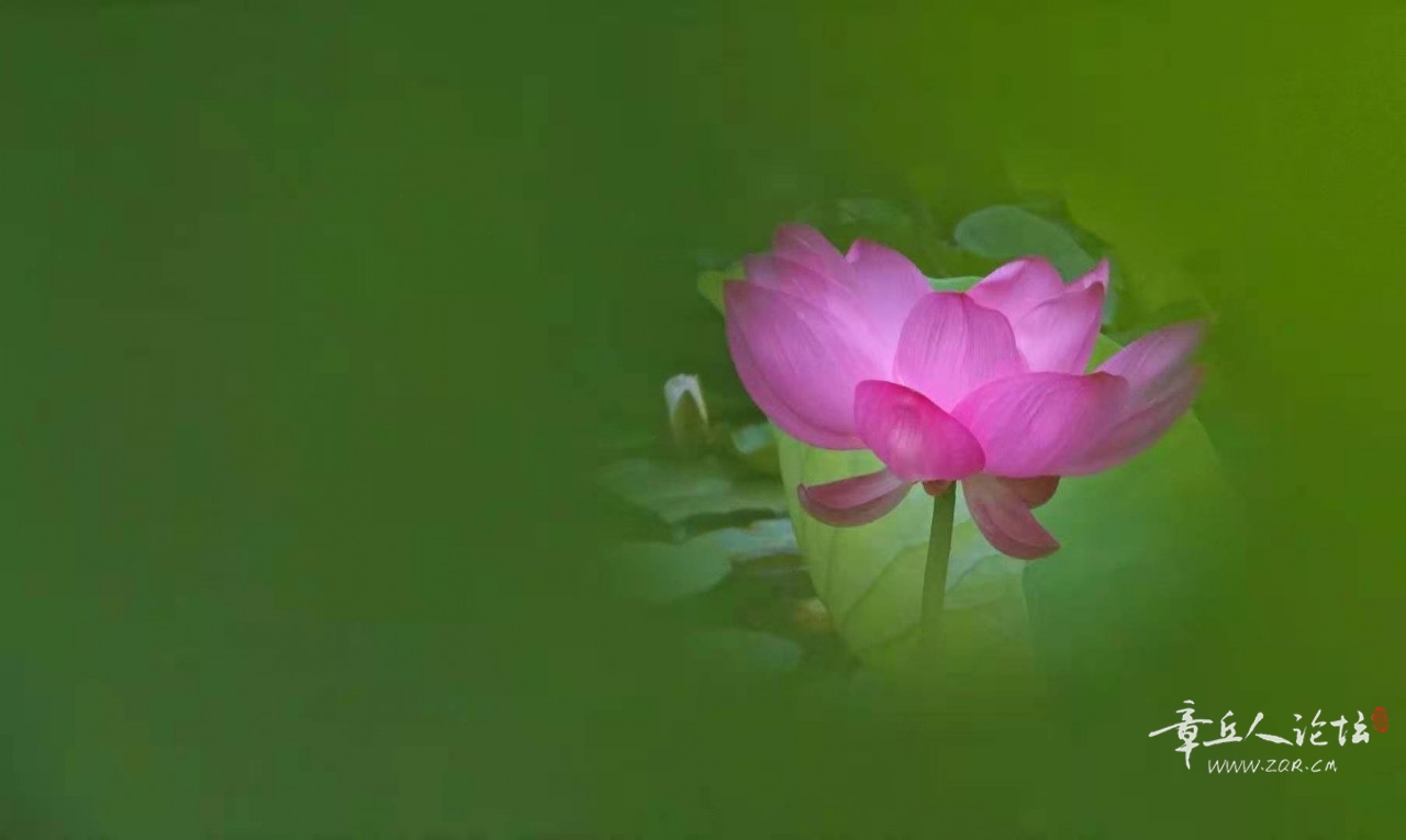 微信图片_202107061554065.jpg