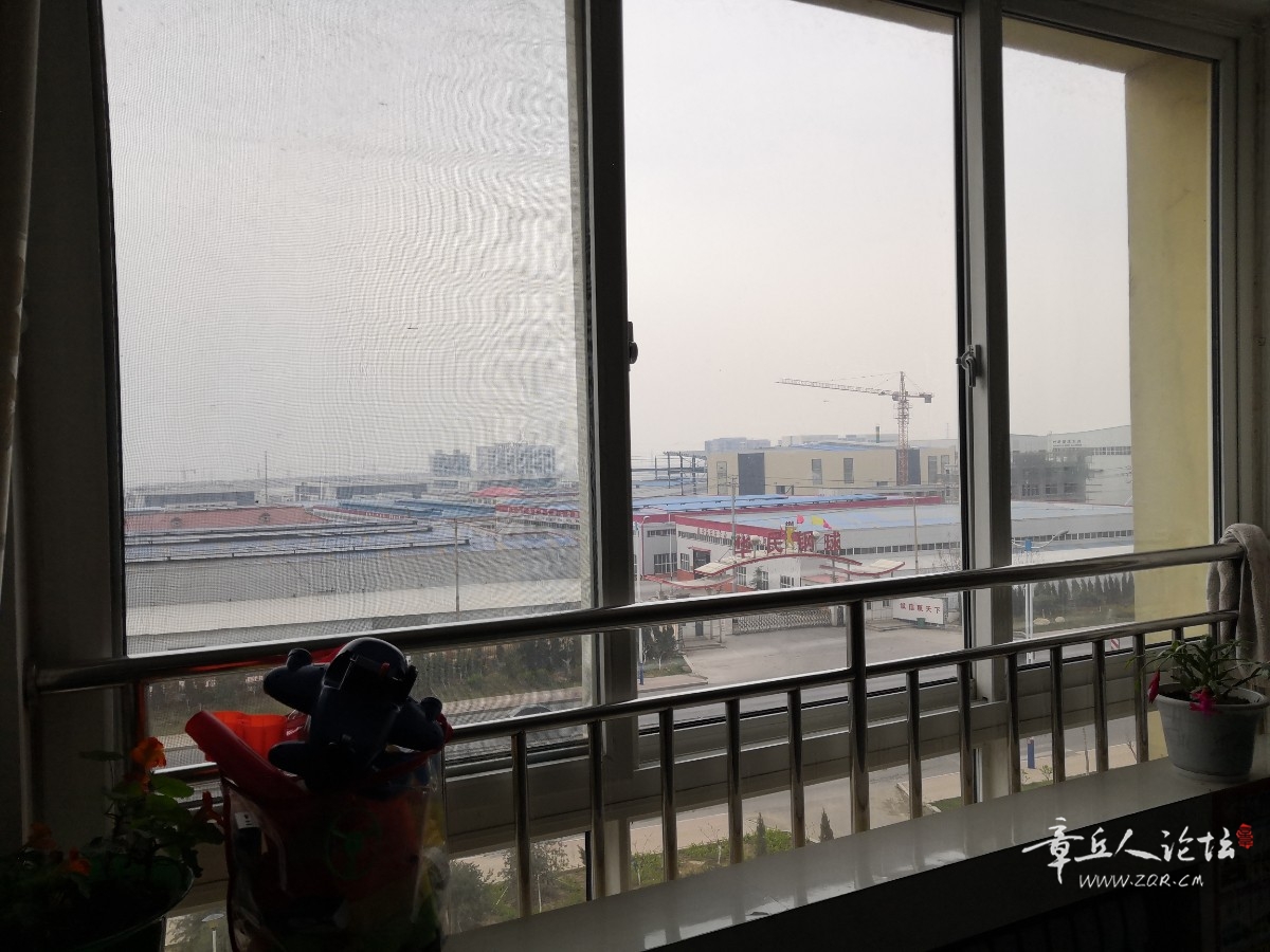 IMG_20190329_130348.jpg