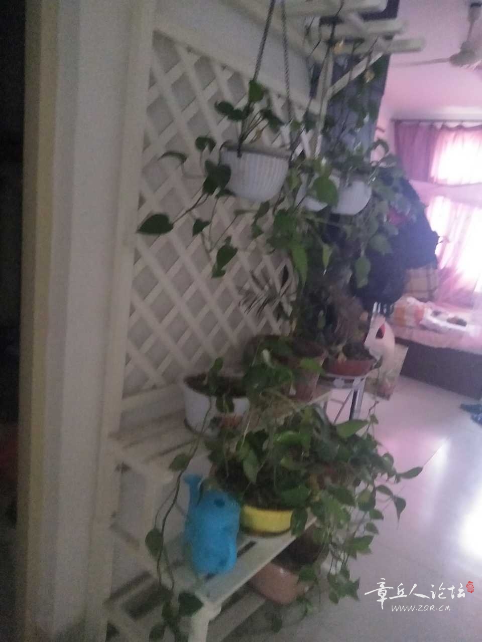 IMG20210812161850.jpg
