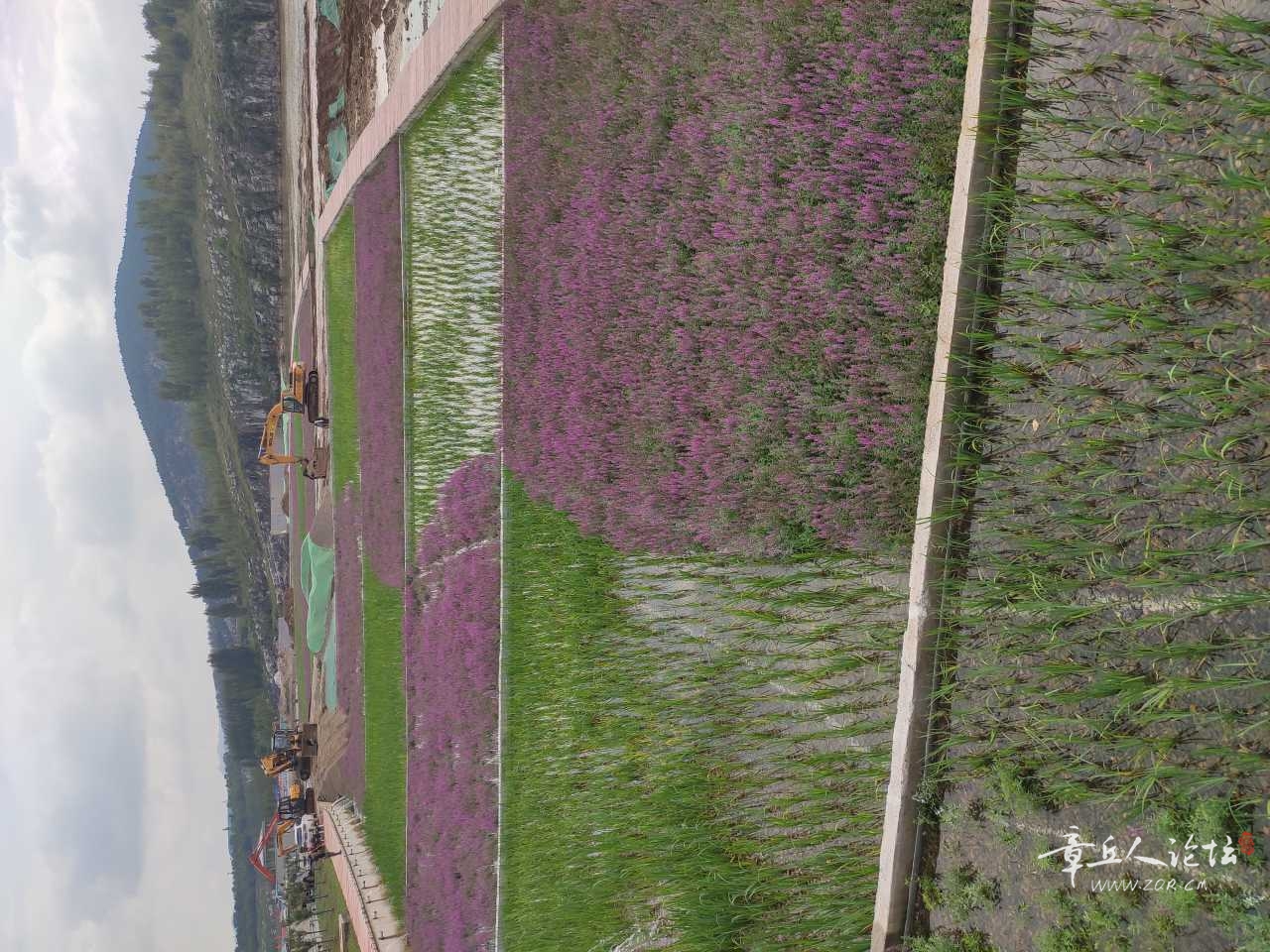 IMG_20210907_094633.jpg