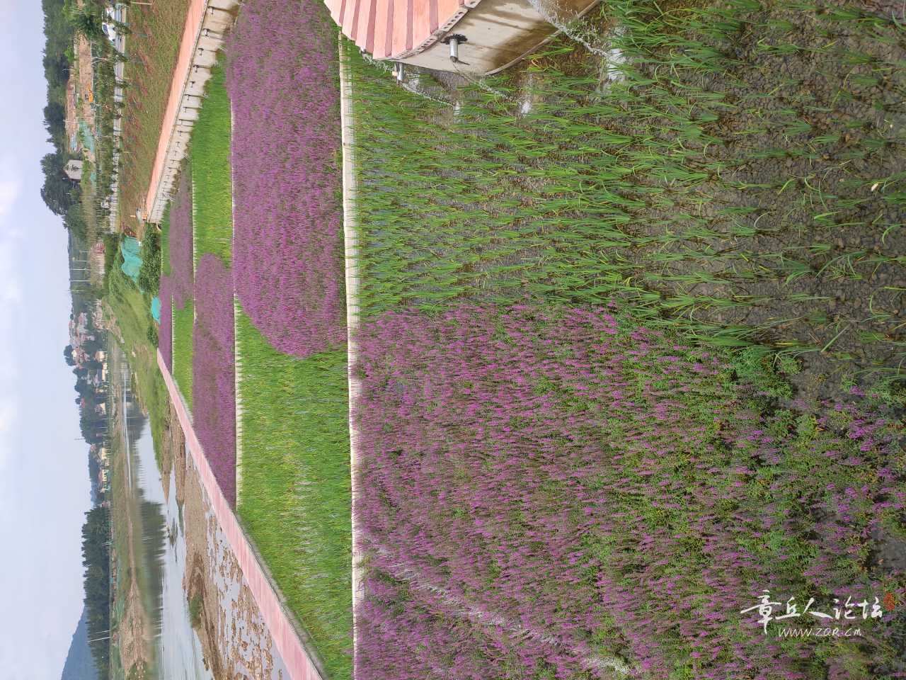 IMG_20210907_094549.jpg