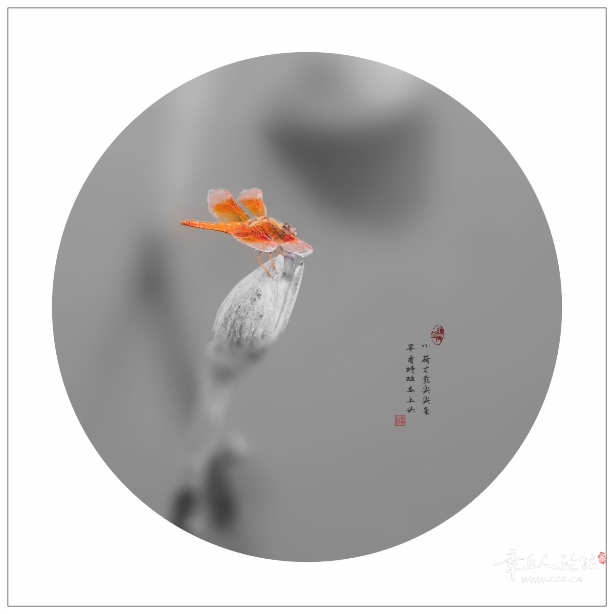 微信图片_20210926161021.jpg