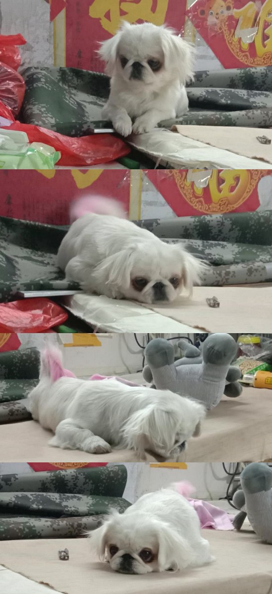 白白白白.jpg