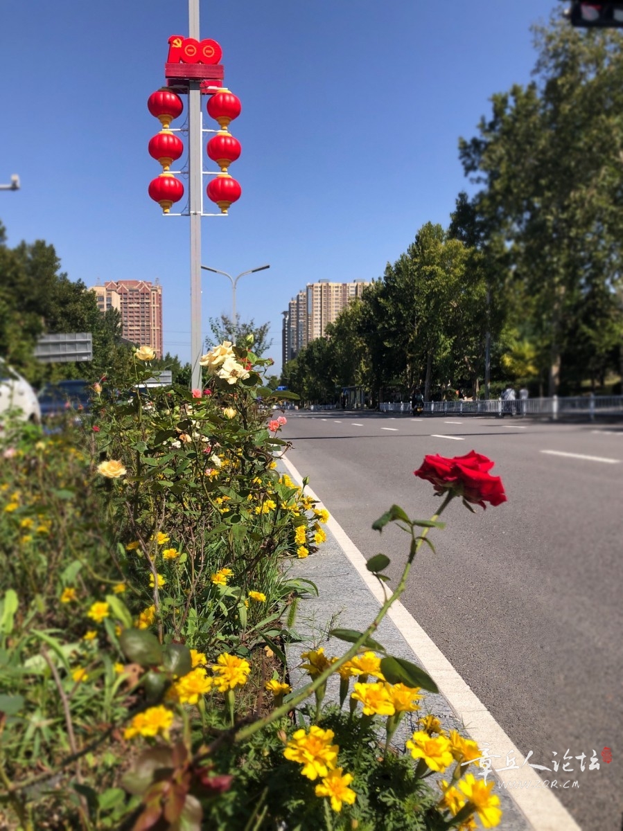 微信图片_202109291425014.jpg