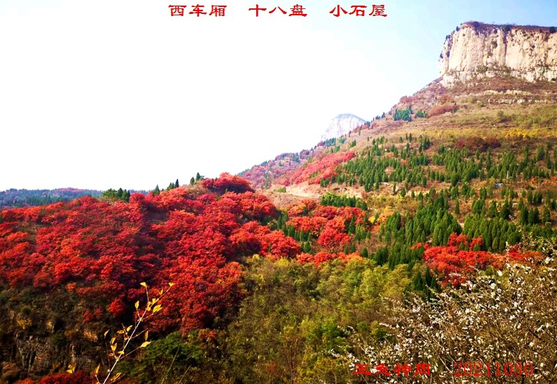 微信图片_20211101091610.jpg