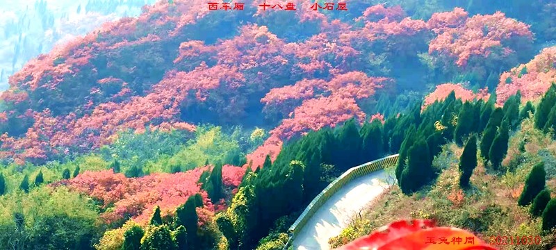 微信图片_20211101091932.jpg