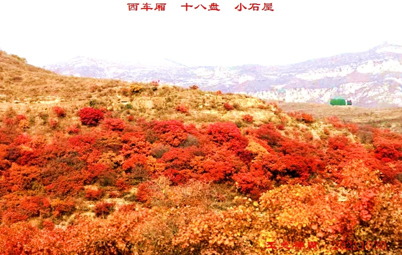 微信图片_20211101092201.jpg