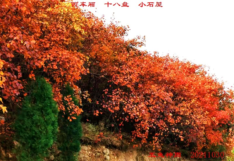 微信图片_20211101092332.jpg