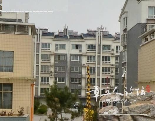 151185_m.jpg