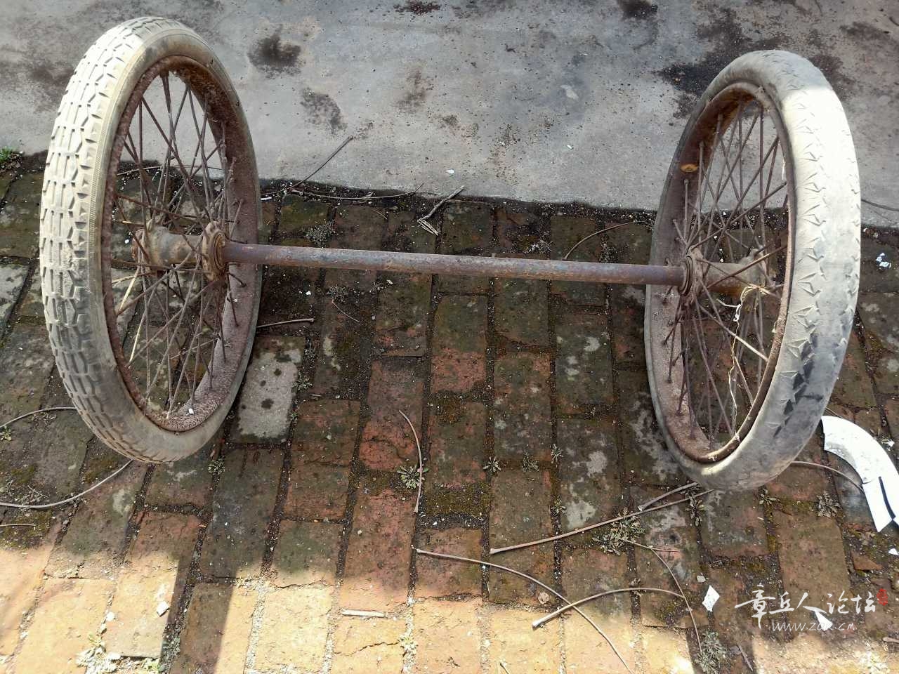 IMG20220314115652.jpg