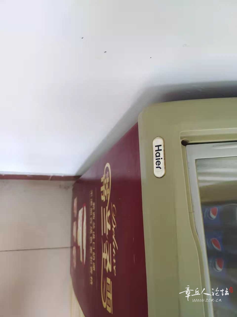 mmexport1649633692679.jpg
