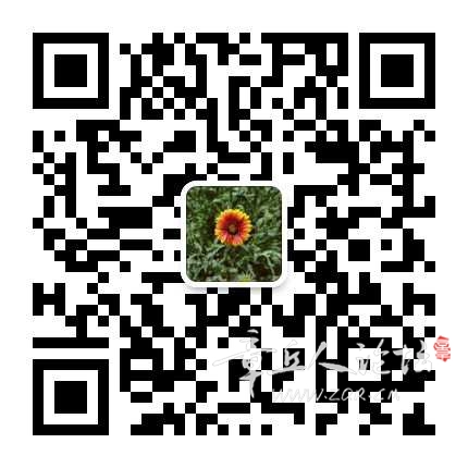 mmqrcode1657122710985.png