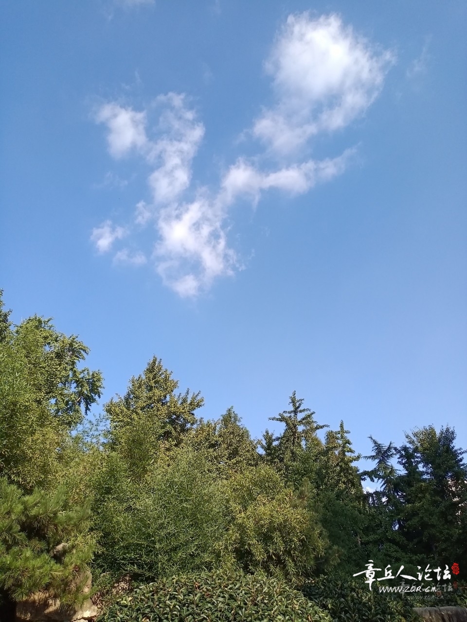20