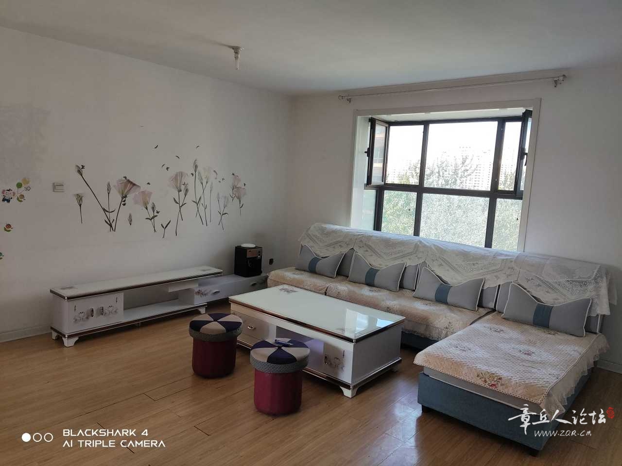 IMG_20221007_110645.jpg