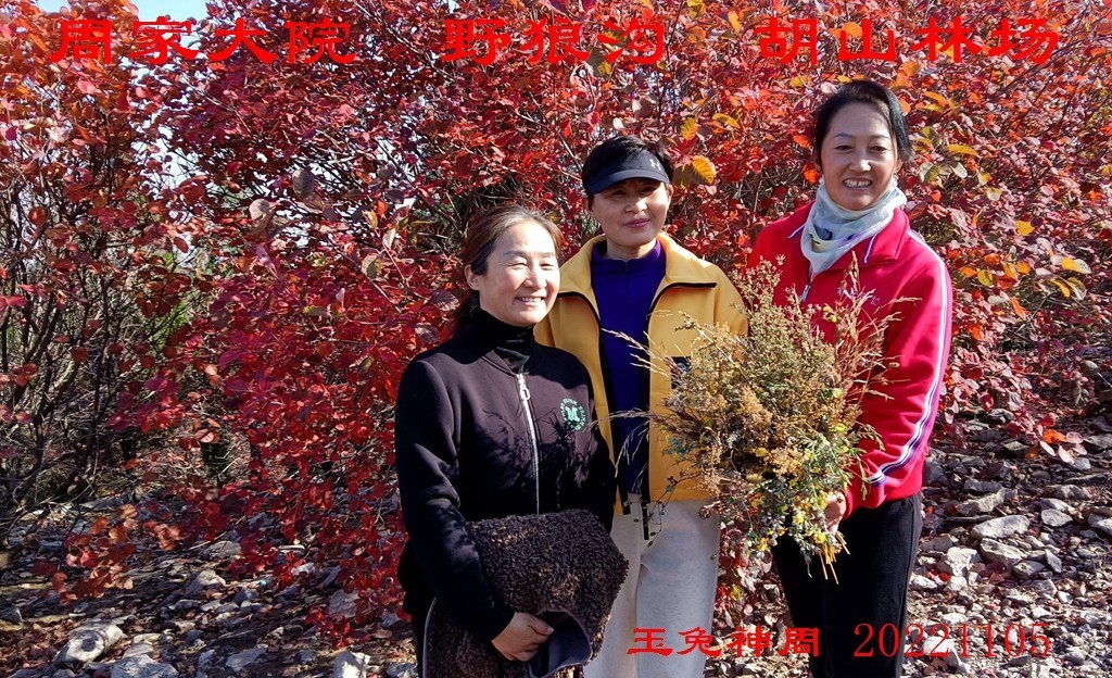 微信图片_20221107103459.jpg