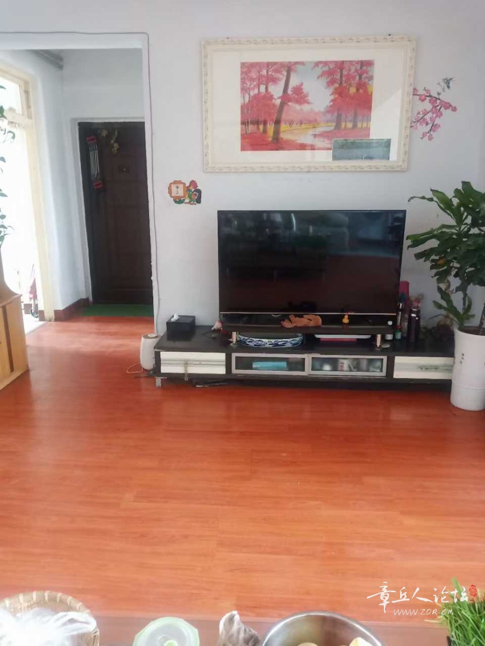mmexport1662710191134.jpg