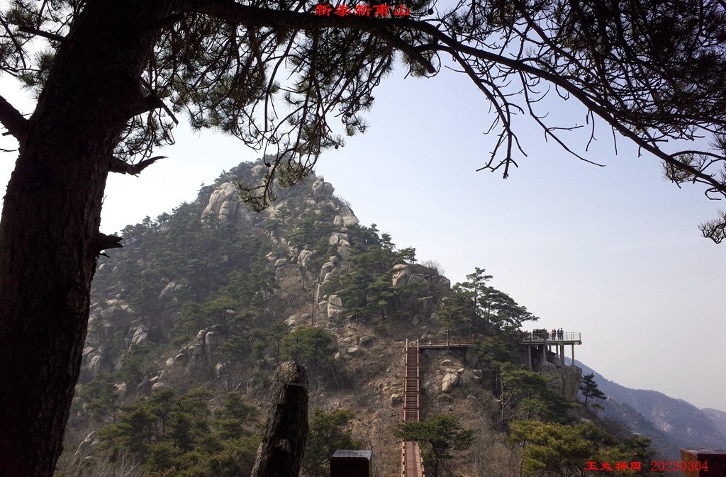微信图片_20230307093632.jpg