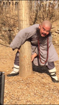 2db4271185bd4ffbb71f9342d9835b17.gif