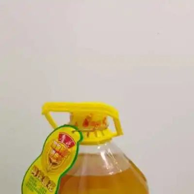 095302b966c6ci930pj69q.jpeg