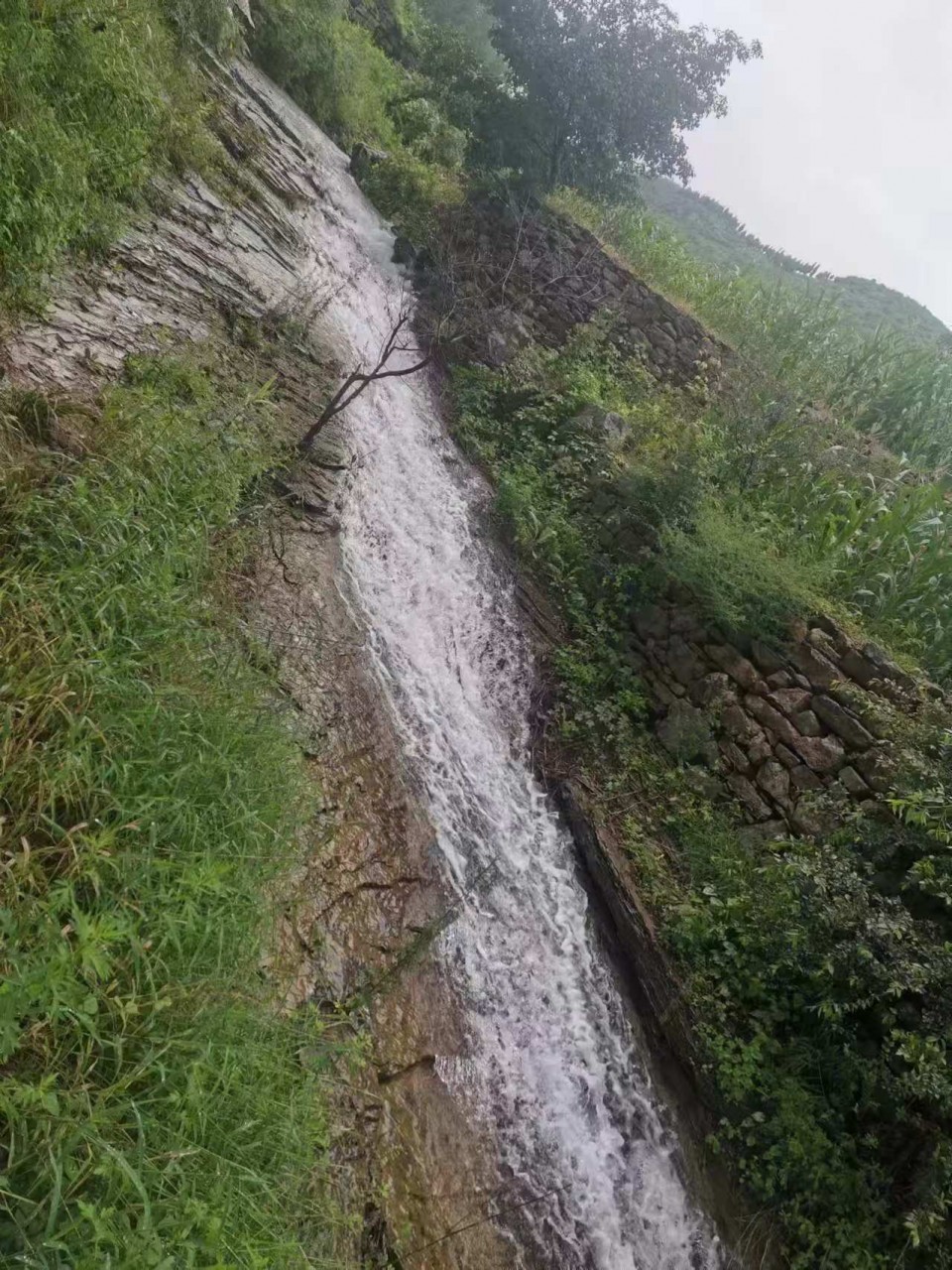 微信图片_20240801101036.jpg
