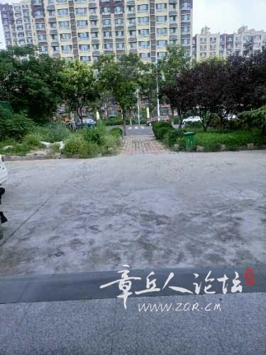 IMG20240814111349.jpg