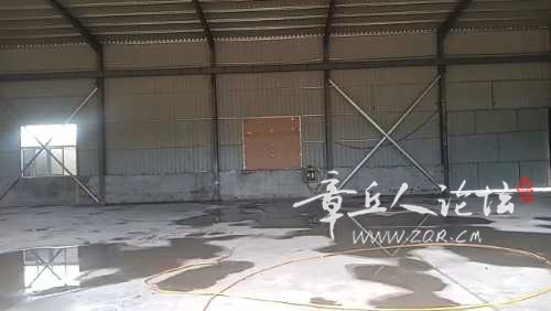mmexport1723702656620.jpg