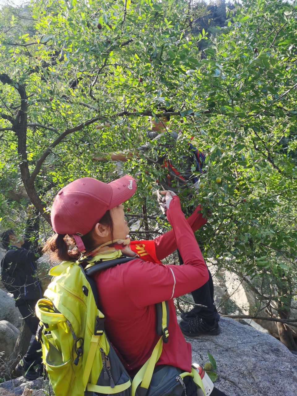 微信图片_20240908102237.jpg