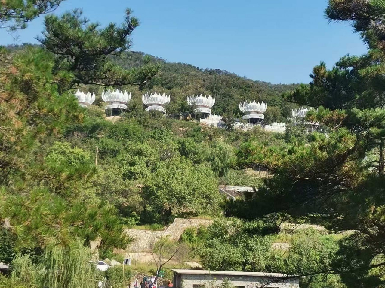微信图片_20240908103452.jpg
