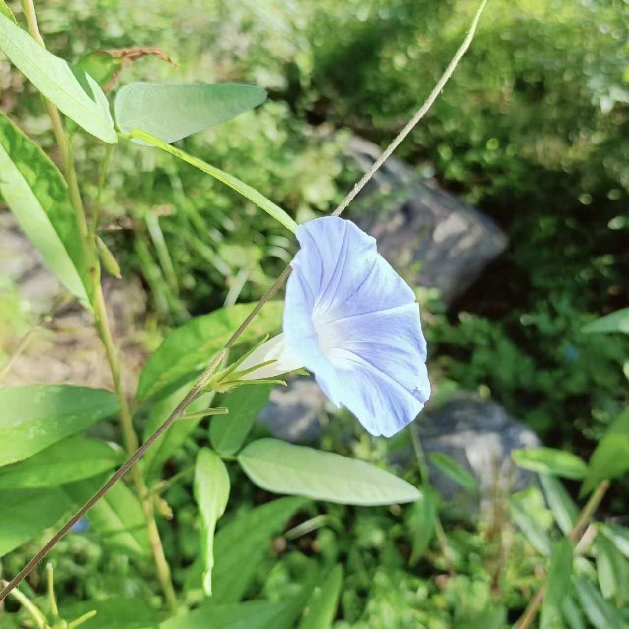 微信图片_20240908104752.jpg
