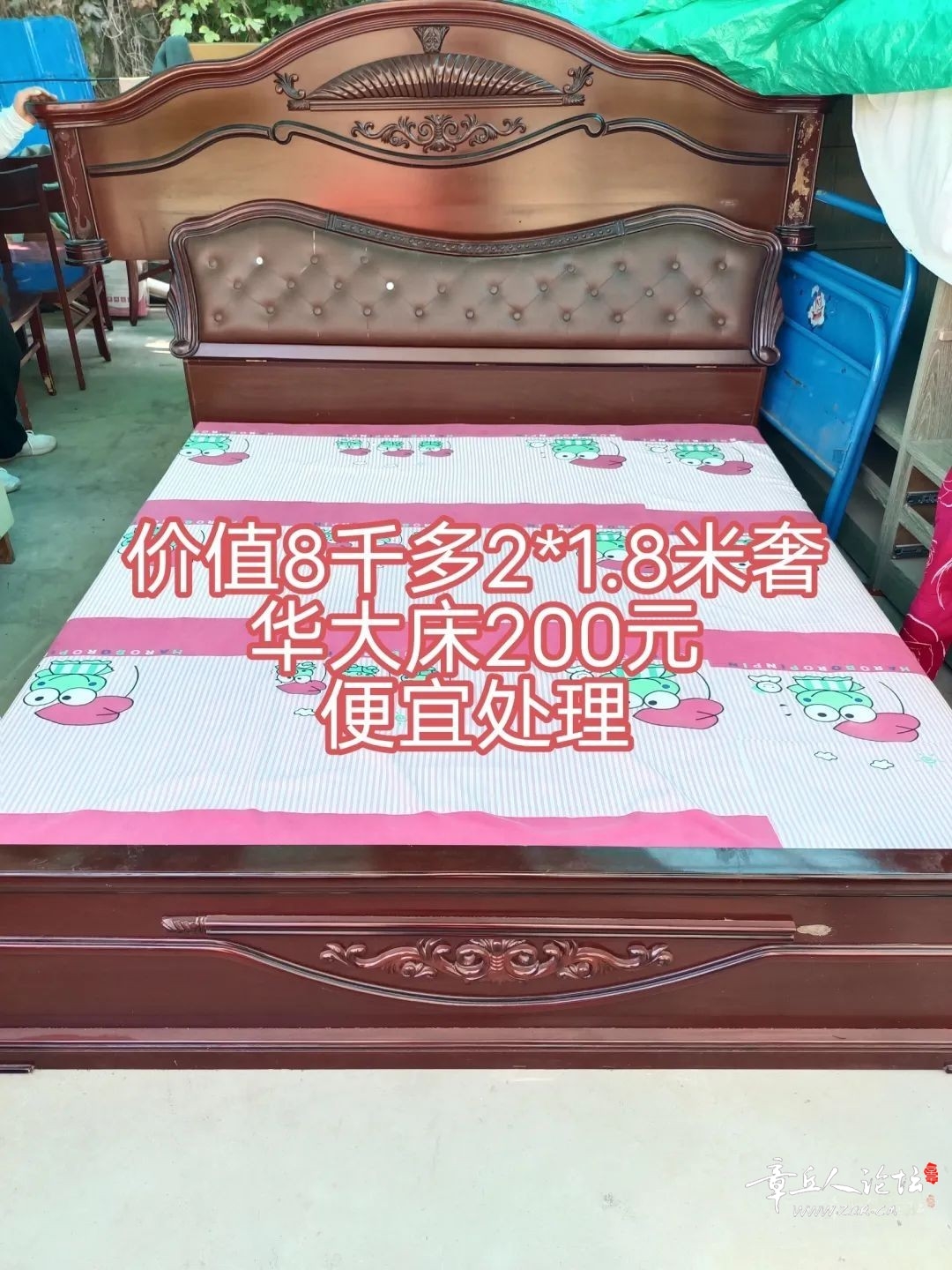 173526rnq2ob9ozhxy9nhm.jpeg