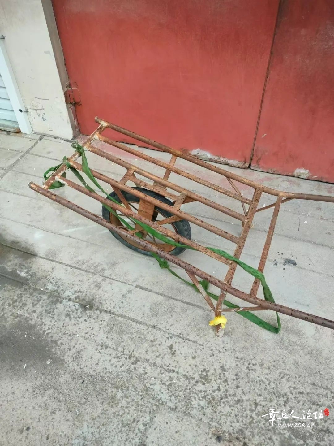 164151vgfehgyf6xcxxhmf.jpeg
