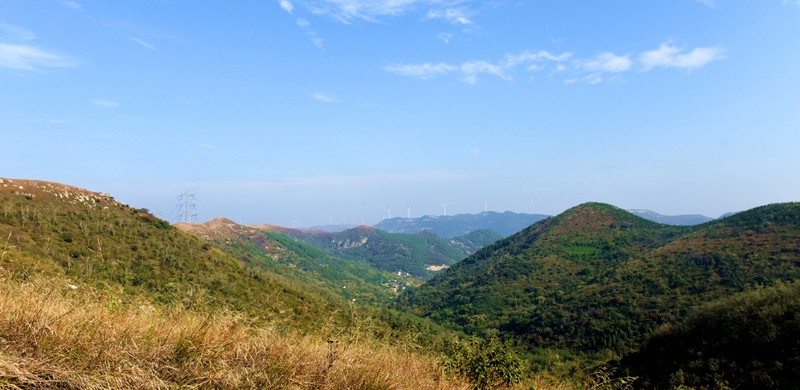 DSC_7785.jpg