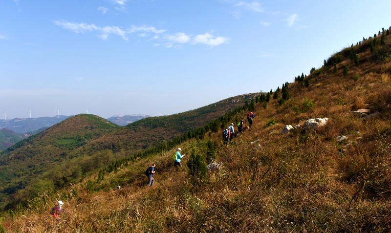 DSC_7787.jpg