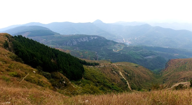 DSC_7889.jpg