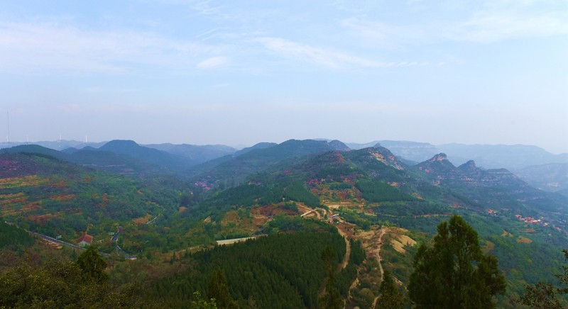 DSC_7890.jpg