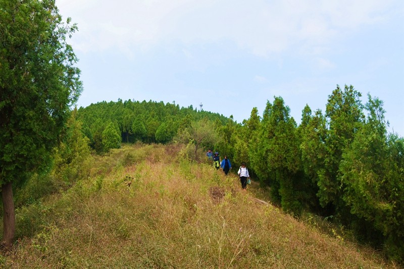 DSC_7897.jpg