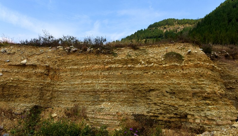 DSC_7918.jpg